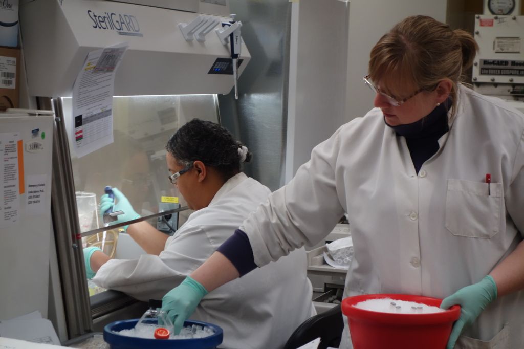 2 NHDP earning the molecular viability assay at the National Hansens Disease Programs Laboratory